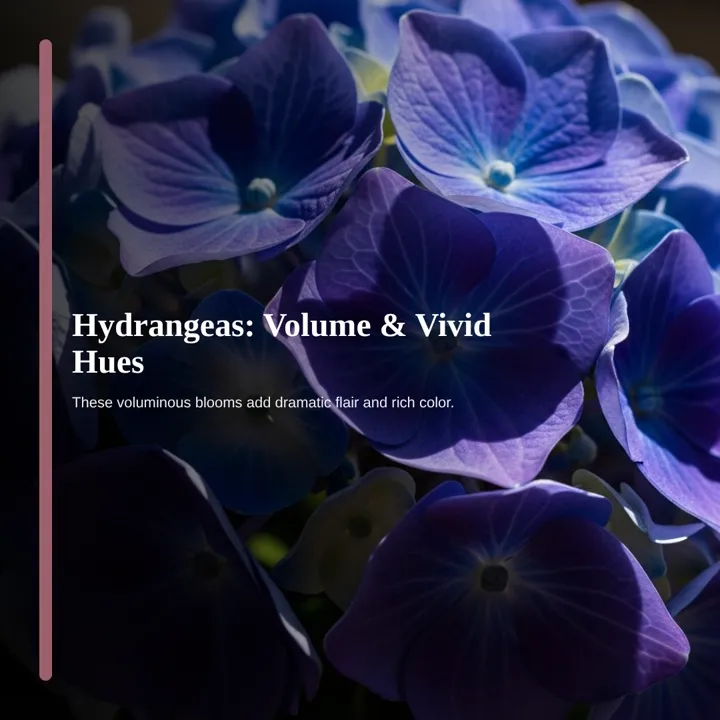 Carousel slide 3: “Hydrangeas: Volume & Vivid Hues” over blue hydrangea petals